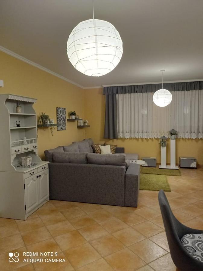 Szenczi Vendeghaz Apartment Buk Exterior photo